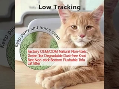 OEM/ODM چای سبز غیر سمی قابل تجزیه بدون گرد و غبار گره سریع ضد چسب پایین آشغال گربه قابل فلاش