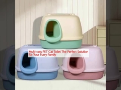 توالت گربه های چند گربه ی PET راه حل مناسب برای خانواده ی پرنده ی شما