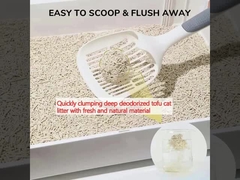 با مواد تازه و طبیعی، به سرعت آشغال گربه های توفو بدون بوی عمیق را جمع کنید