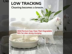 OEM پریمیوم آسان پاک گیاه قابل تجزیه توفو گربه کثافات قوی جمع شدن