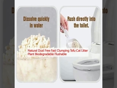 گیاهان بدون گرد و غبار طبیعی توفو که به سرعت جمع می شوند