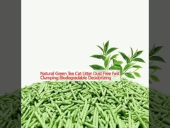 چای سبز طبیعی، بدون گرد و غبار، سریع جمع می شود