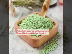 چای سبز تازه گربه، آشپزخانه گربه، آشپزخانه، آشپزخانه، آشپزخانه