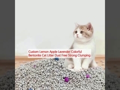 لیمو سفارشی سیب لاوندر رنگارنگ بنتونیت گربه کثافت بدون گرد و غبار