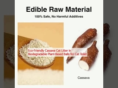 زباله های گربه ای که با محیط زیست سازگار است در توپ های زیست فرسوده گیاهی برای توالت گربه