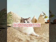 فروش مستقیم توفوی قوی که به هم پیوسته است، عطر های متعدد زیست فرسوده دوستدار محیط زیست