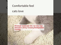 عمده فروشی توفوی پایدار آشغال گربه جذب بالا جمع شدن قوی زیست تخریب پذیر فلش قابل