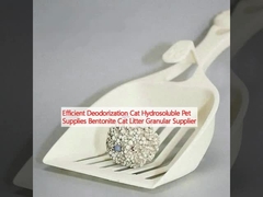 عطر زدایی موثر لوازم جانبی گربه های محلول در آب