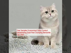 نمونه های رایگان کنترل بوی اقتصادی خنثی کننده بدون گرد و غبار گرد و غبار بنتونیت آشغال گربه