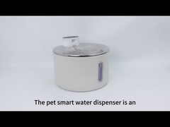 pet water dispenser