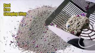 Bentonite Cat Litter