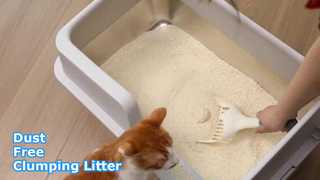 Natural Clumping Non-stick Bottom Cassava Cat Litter