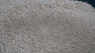 Premium Tofu Cat Litter 10.192