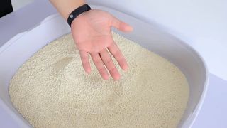 Premium Cassava Cat Litter 4.21-14