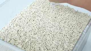Eco-Friendly Tofu Cat Litter
