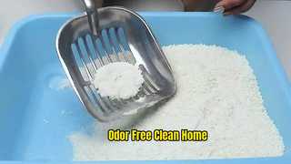 Cassava Cat Litter 1