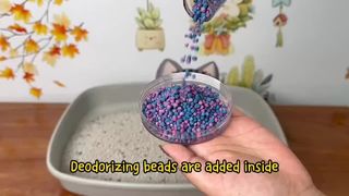 Premium Bentonite Cat Litter 3.26-6