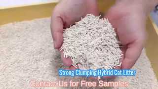 Premium Tofu Cat Litter 10.19