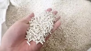 Premium Tofu Cat Litter 10.191