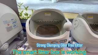 Spray-type Smart Cat Litter Box