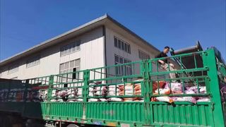Bentonite Cat Litter 3.262