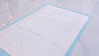 Premium Pet Pad 10.192