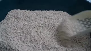 Premium Tofu Cat Litter 10.193